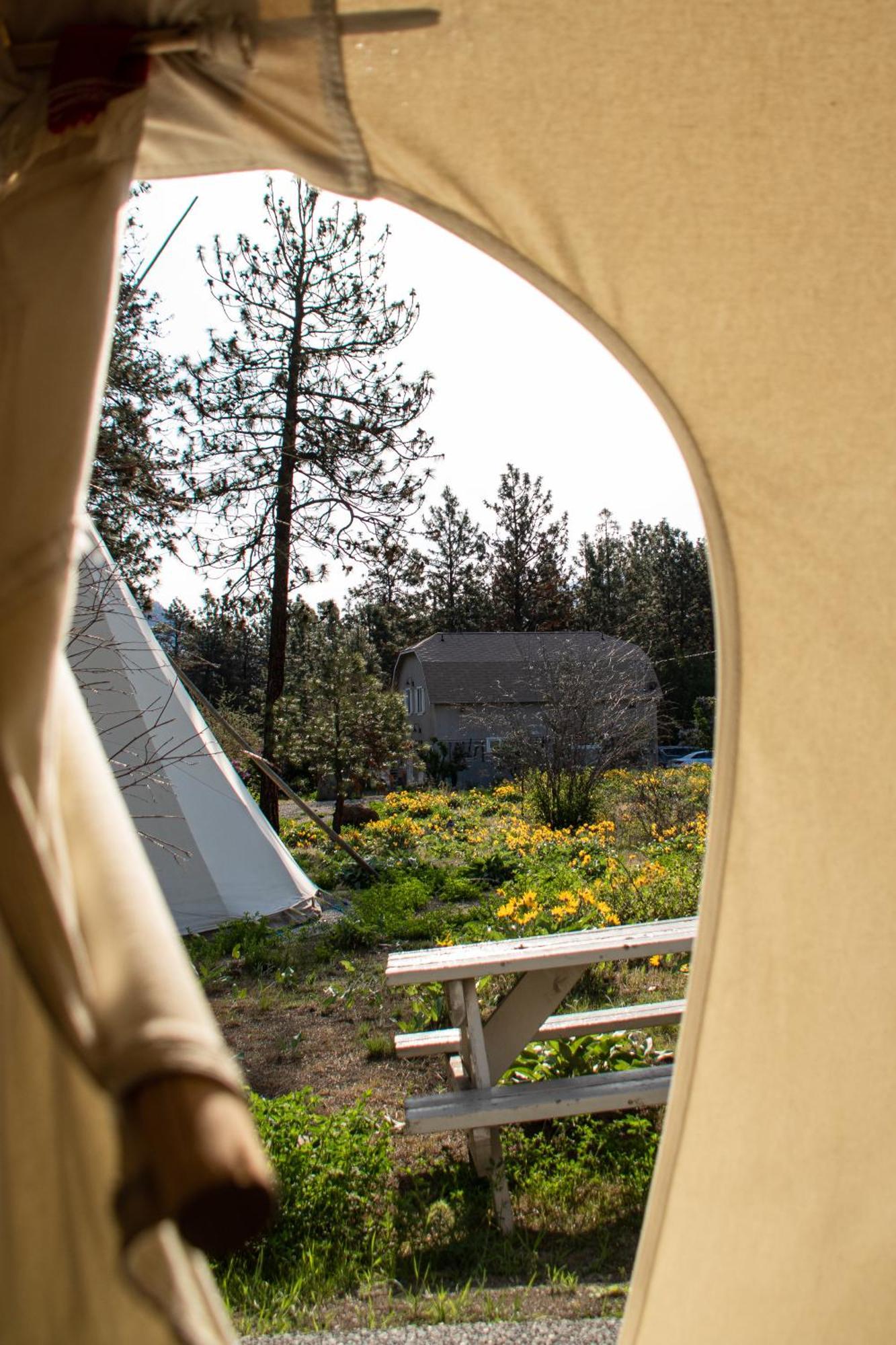 Kumsheen Rafting Resort Lytton エクステリア 写真