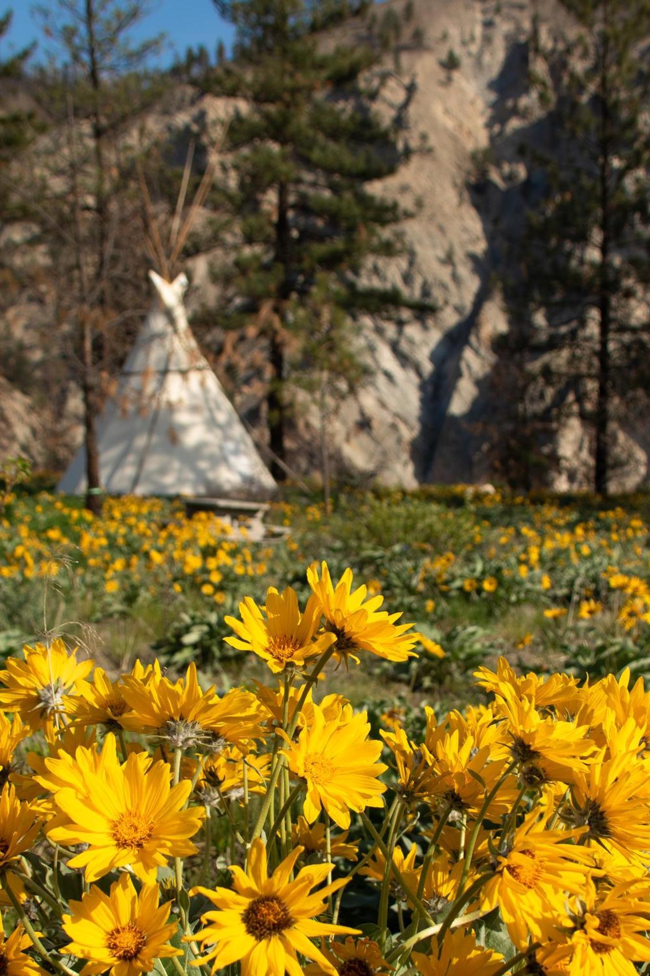 Kumsheen Rafting Resort Lytton エクステリア 写真